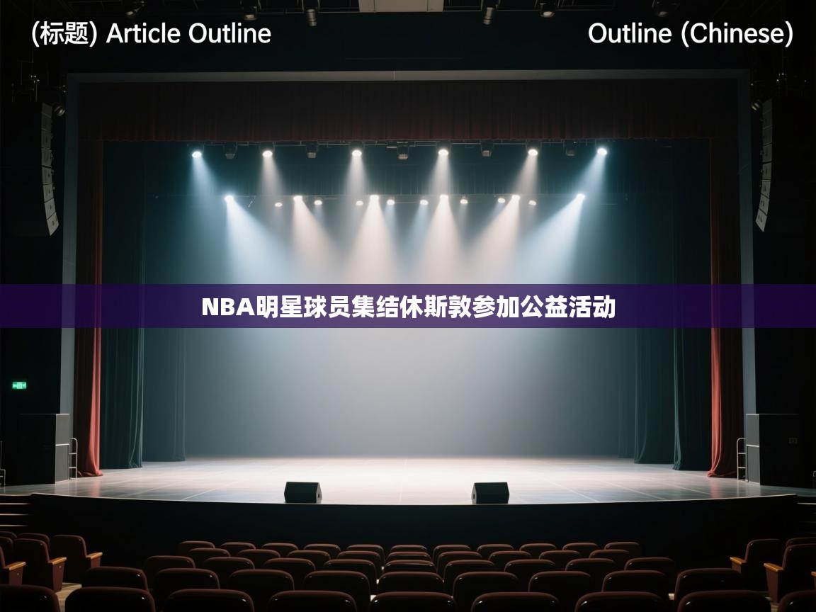 爱游戏体育官网app-NBA明星球员集结休斯敦参加公益活动  第1张