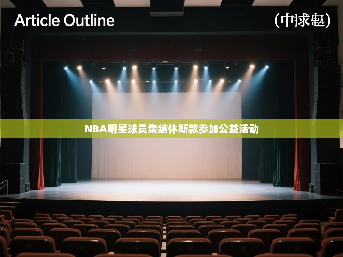 爱游戏体育官网app-NBA明星球员集结休斯敦参加公益活动  第3张