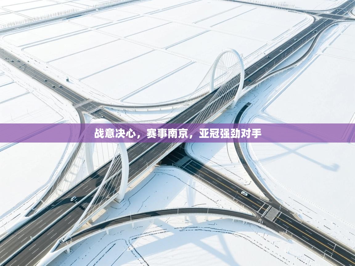 爱体育游戏网站-战意决心，赛事南京，亚冠强劲对手  第1张