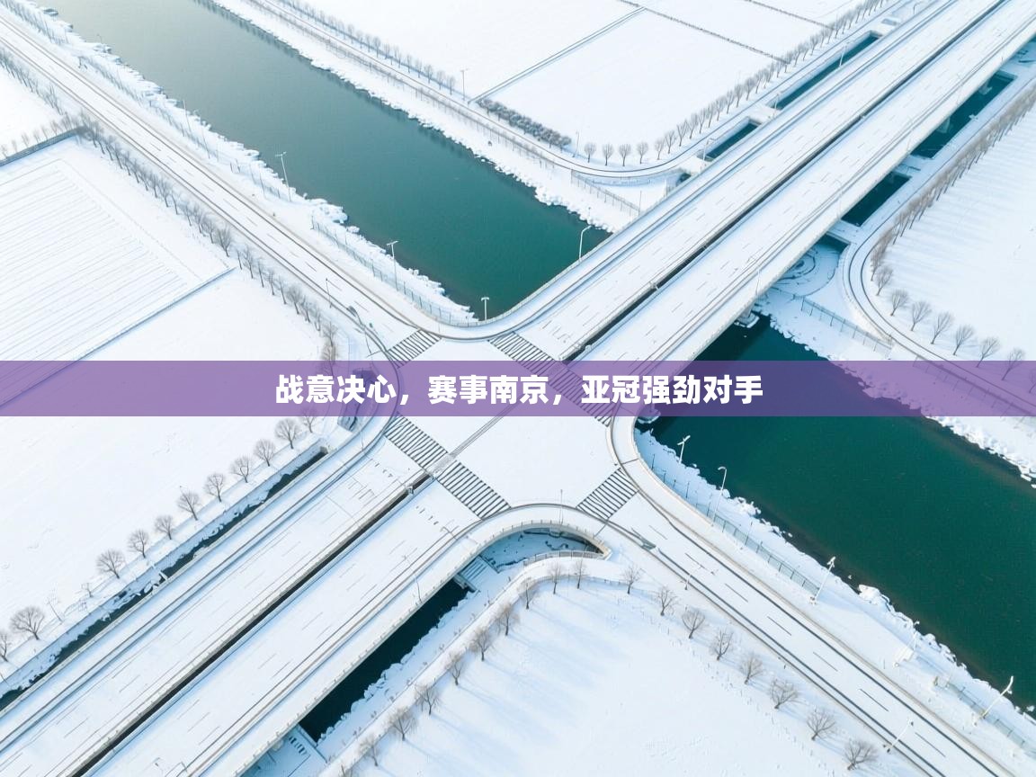 爱体育游戏网站-战意决心，赛事南京，亚冠强劲对手  第2张