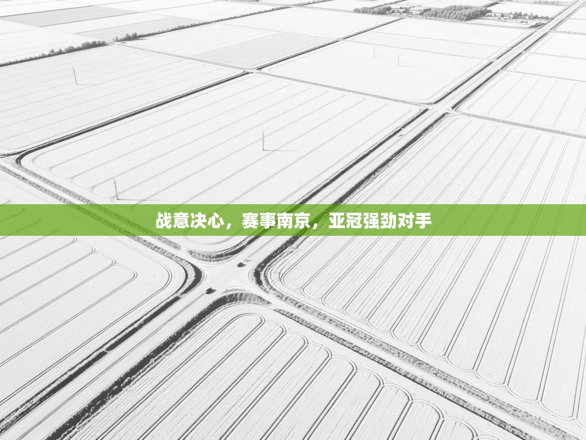 爱体育游戏网站-战意决心，赛事南京，亚冠强劲对手  第3张