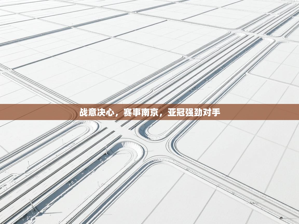 爱体育游戏网站-战意决心，赛事南京，亚冠强劲对手  第4张