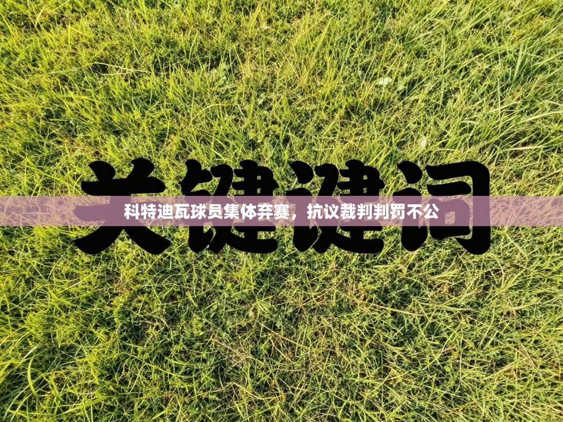 爱游戏娱乐登录-科特迪瓦球员集体弃赛，抗议裁判判罚不公  第2张