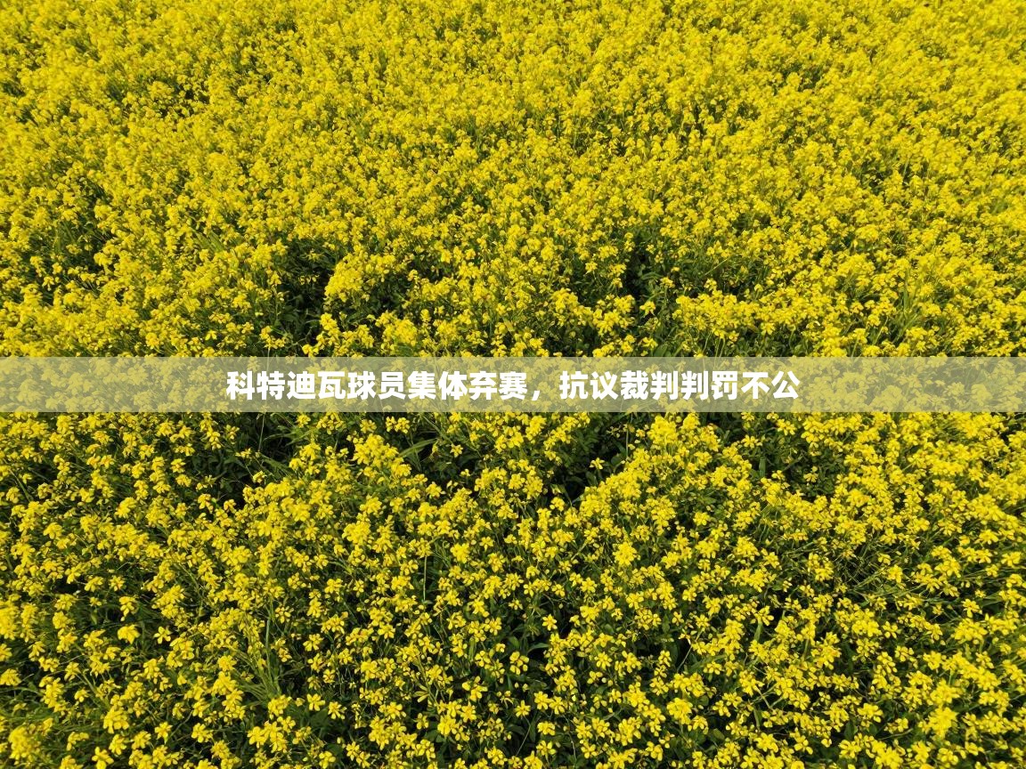 爱游戏娱乐登录-科特迪瓦球员集体弃赛，抗议裁判判罚不公  第4张