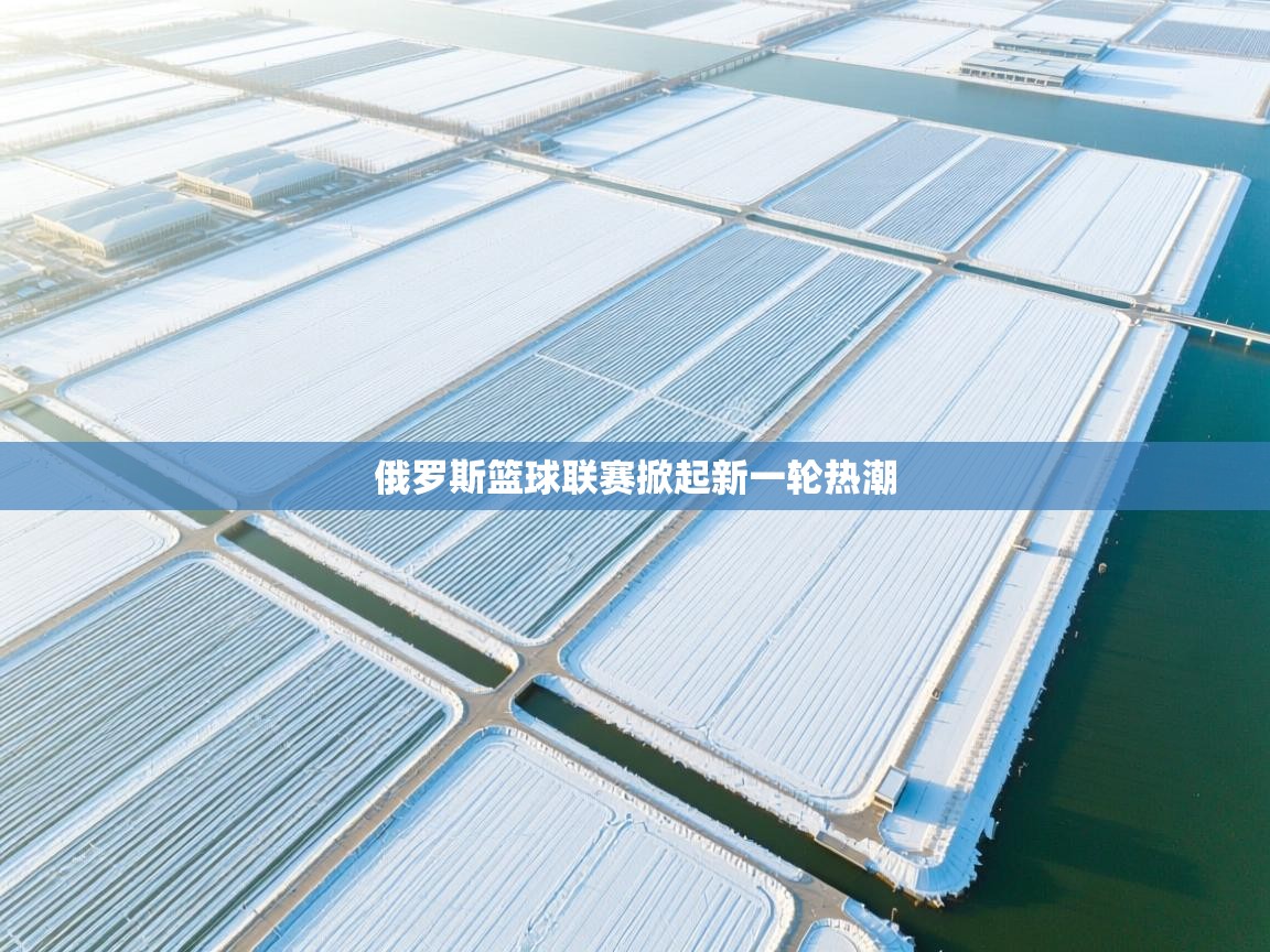 爱游戏体育app-俄罗斯篮球联赛掀起新一轮热潮 第2张