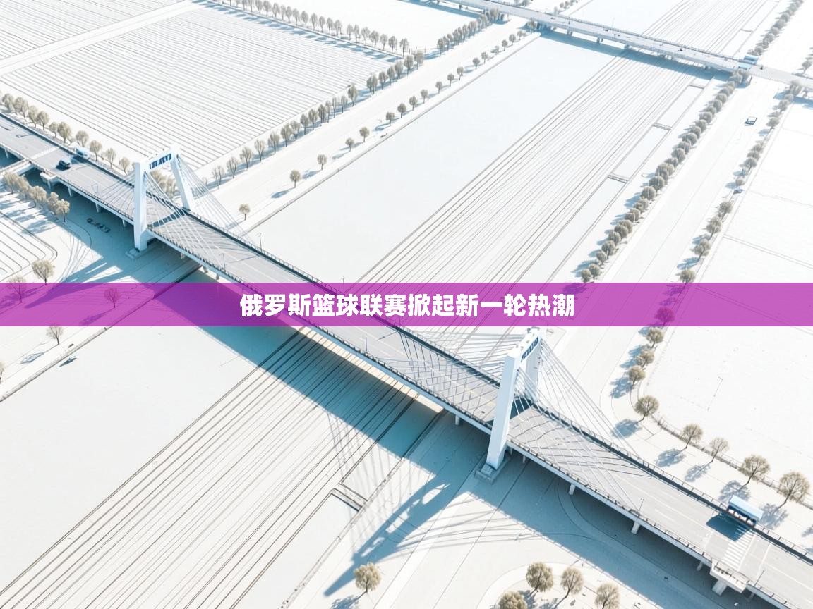 爱游戏体育app-俄罗斯篮球联赛掀起新一轮热潮 第3张