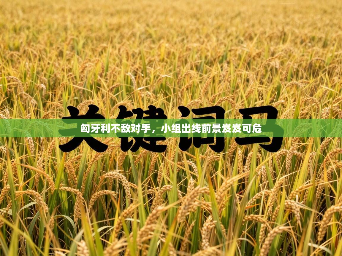 爱游戏真人体育娱乐-匈牙利不敌对手，小组出线前景岌岌可危  第4张