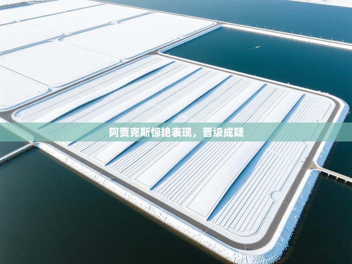 爱游戏下载-阿贾克斯惊艳表现，晋级成疑  第3张